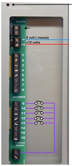 branchement alarmes 16 voies